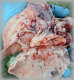 Lungs with signs of bleeding in a goat infected with PPR. - © H. Salami.